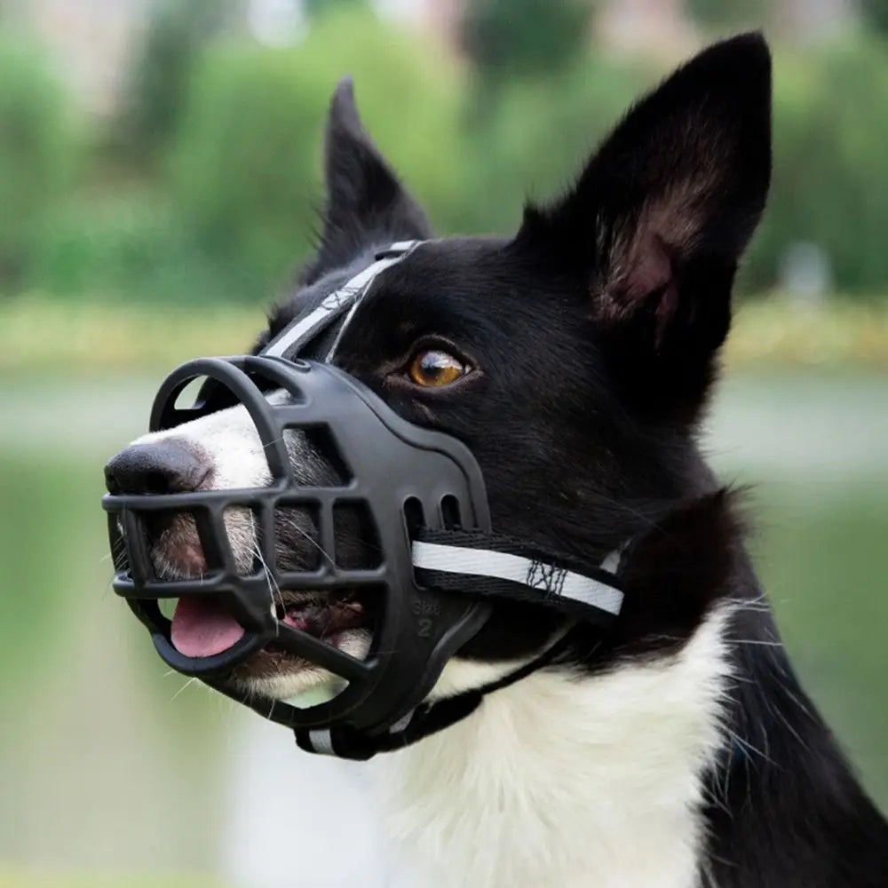 Adjustable Anti-Biting Dog Muzzle Cover With Strip - My Pet Shop