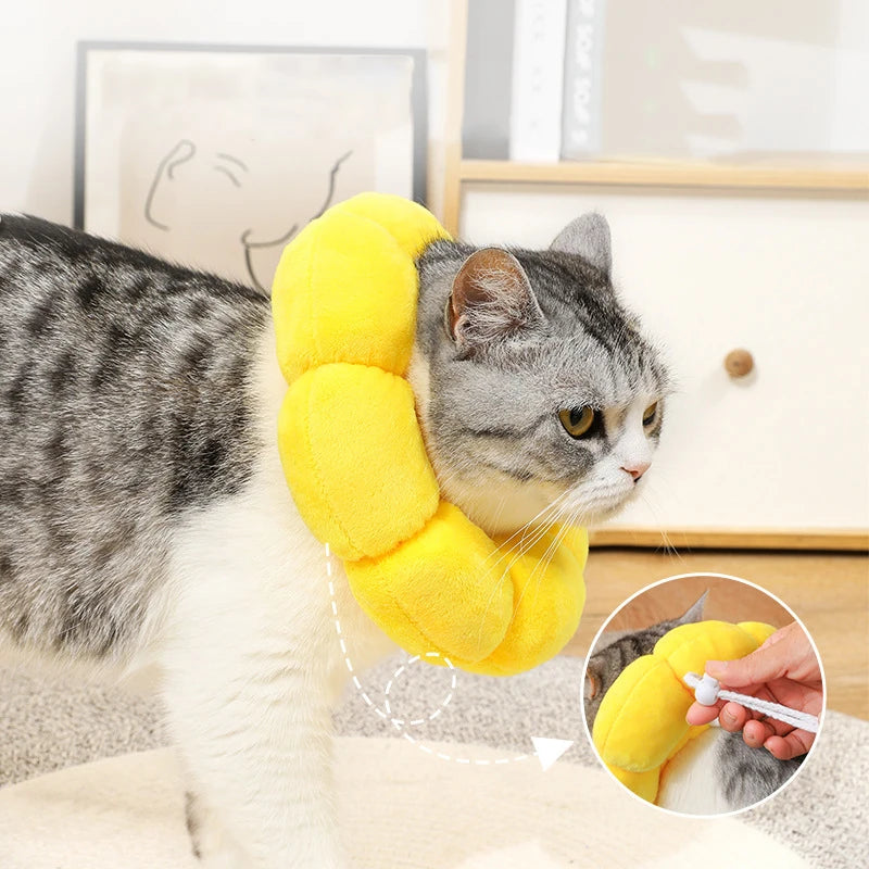 Soft Cat Neck Recovery Comfortable Collar for Wound - My Pet Shop