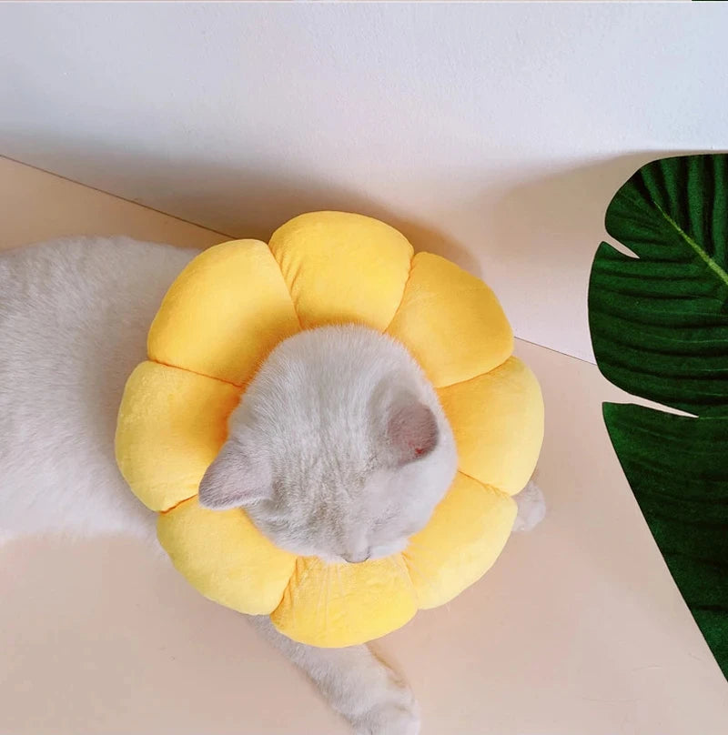 Soft Cat Neck Recovery Comfortable Collar for Wound - My Pet Shop