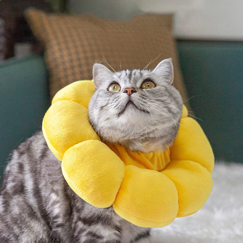 Soft Cat Neck Recovery Comfortable Collar for Wound - My Pet Shop