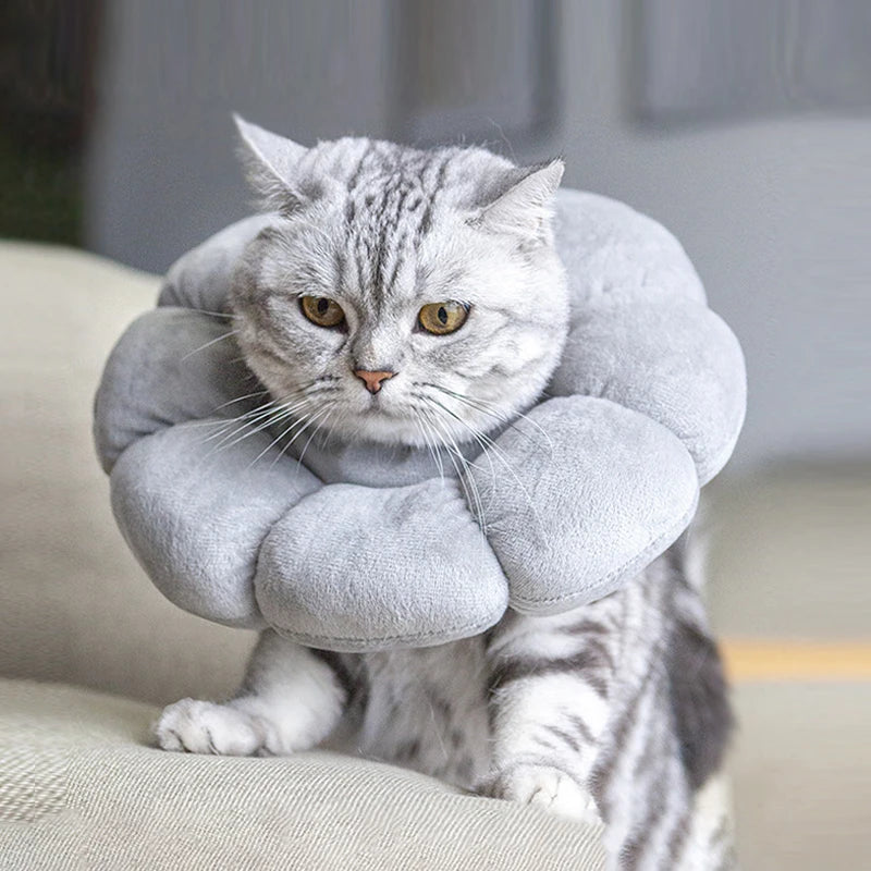 Soft Cat Neck Recovery Comfortable Collar for Wound - My Pet Shop