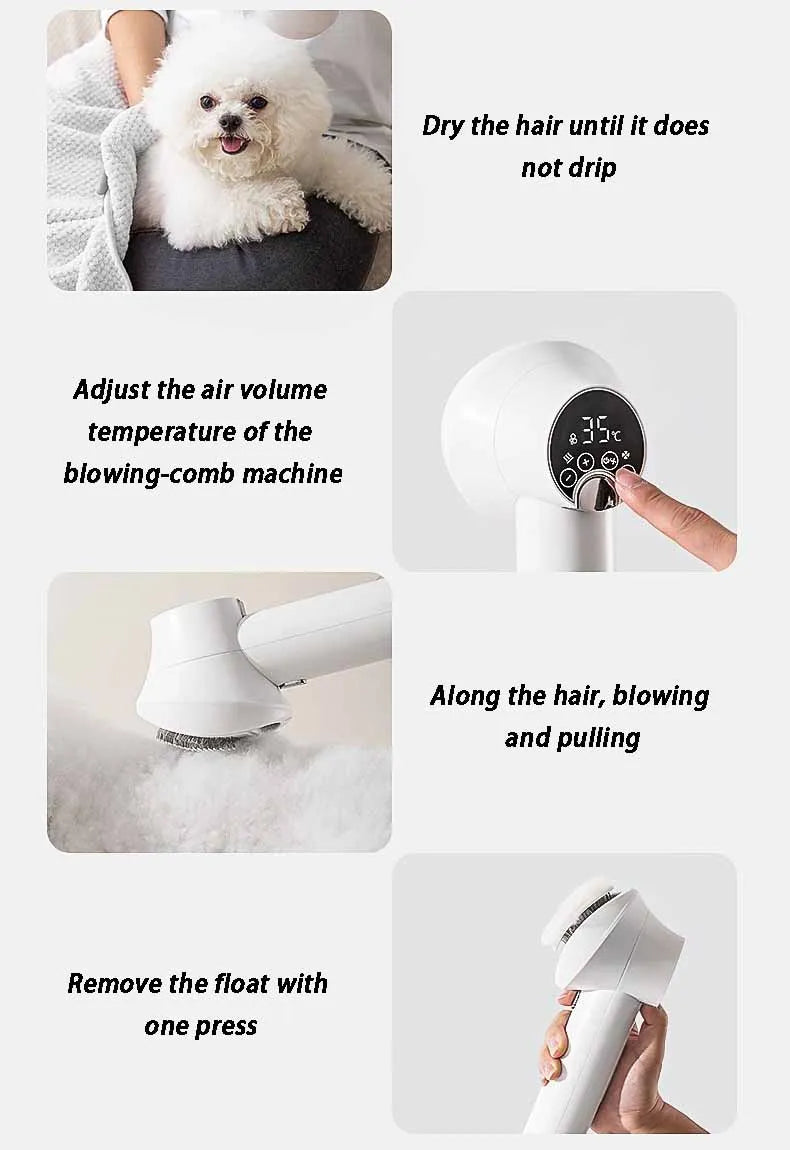 Professional Pet Hair Dryer Machine - My Pet Shop