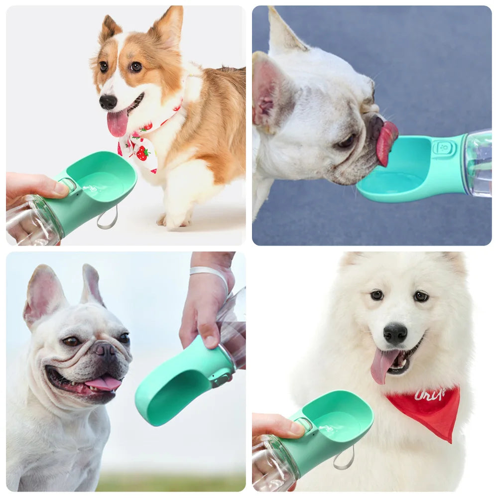Portable Dog Water Bottle - My Pet Shop