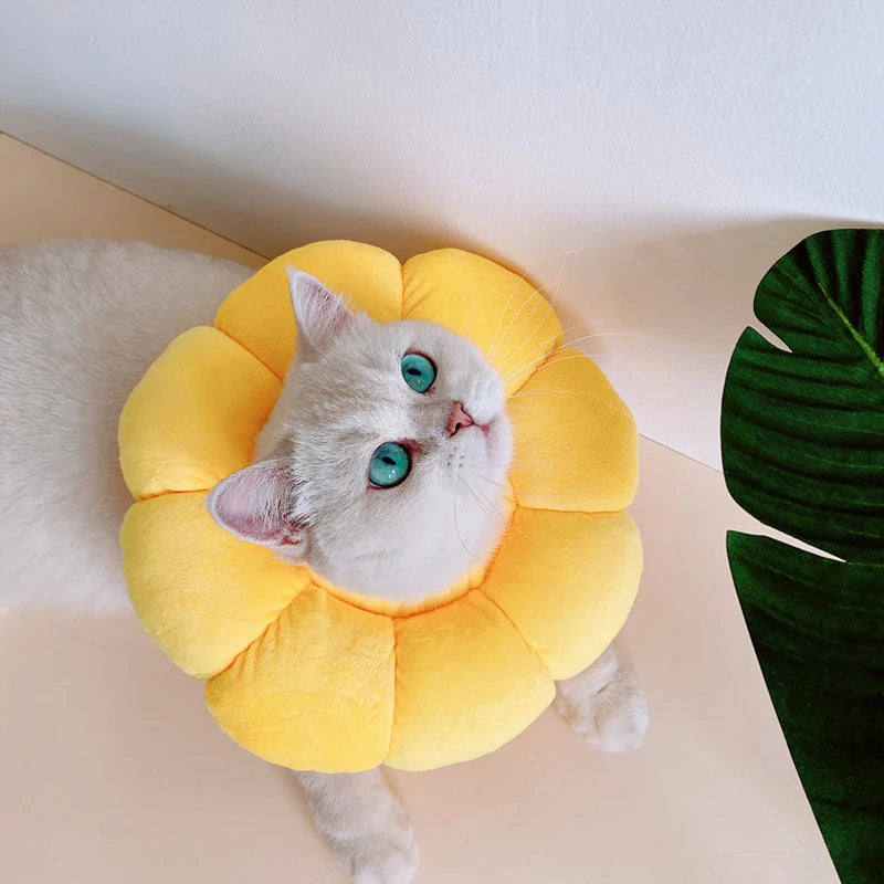Soft Cat Neck Recovery Comfortable Collar for Wound - My Pet Shop