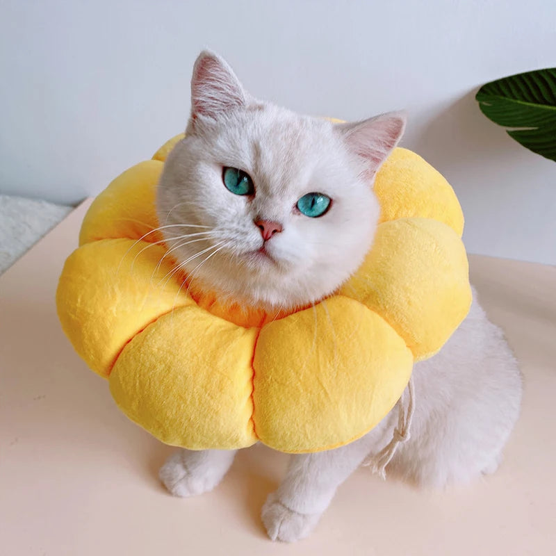 Soft Cat Neck Recovery Comfortable Collar for Wound - My Pet Shop