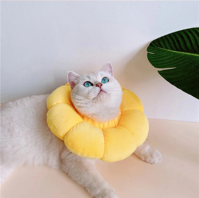 Soft Cat Neck Recovery Comfortable Collar for Wound - My Pet Shop