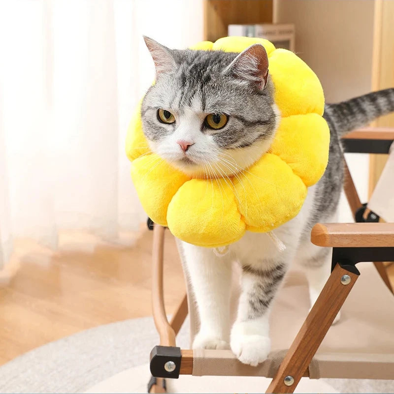 Soft Cat Neck Recovery Comfortable Collar for Wound - My Pet Shop