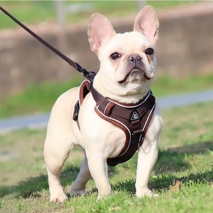 Adjustable No Pull Pet Dog Harness and Leash Set - My Pet Shop