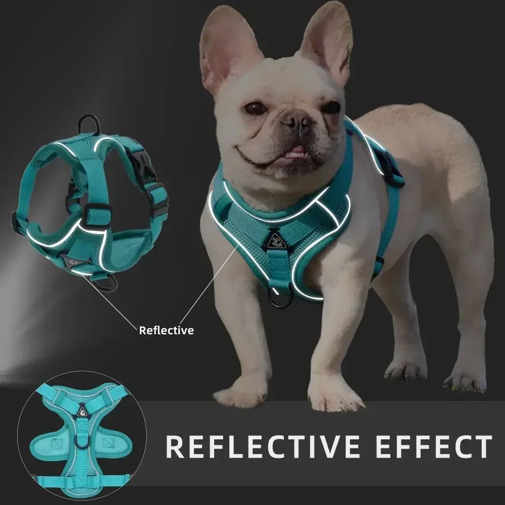 Adjustable No Pull Pet Dog Harness and Leash Set - My Pet Shop