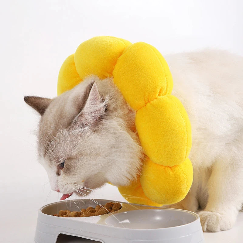 Soft Cat Neck Recovery Comfortable Collar for Wound - My Pet Shop