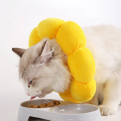 Soft Cat Neck Recovery Comfortable Collar for Wound - My Pet Shop