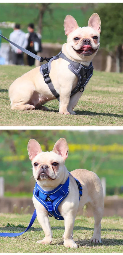 Adjustable No Pull Pet Dog Harness and Leash Set - My Pet Shop