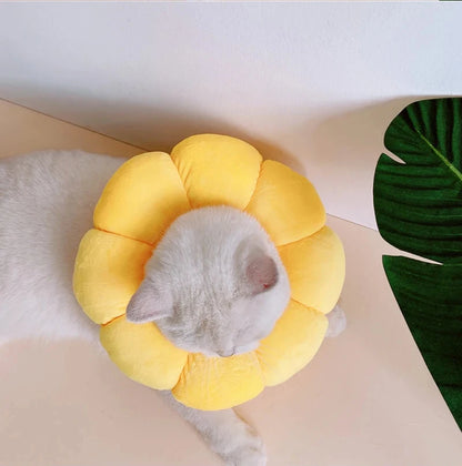 Soft Cat Neck Recovery Comfortable Collar for Wound - My Pet Shop