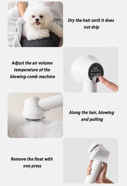 Professional Pet Hair Dryer Machine - My Pet Shop
