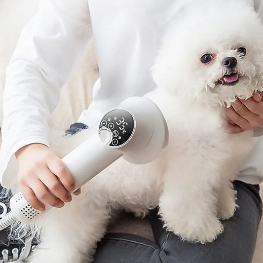 Professional Pet Hair Dryer Machine - My Pet Shop