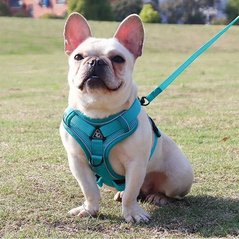 Adjustable No Pull Pet Dog Harness and Leash Set - My Pet Shop