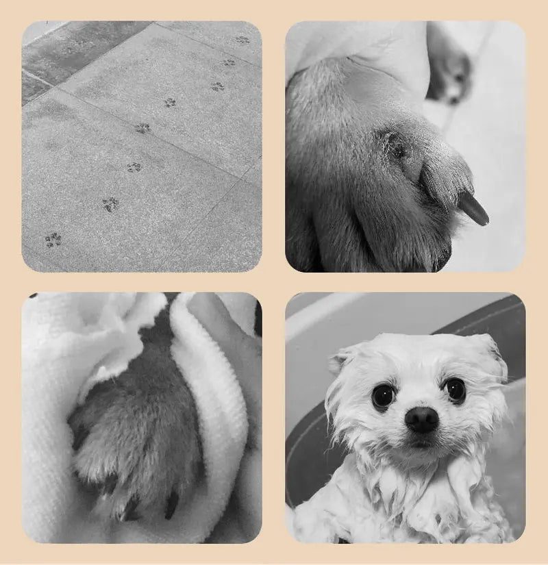 Automatic Portable Pet Dog Paw Washer - My Pet Shop