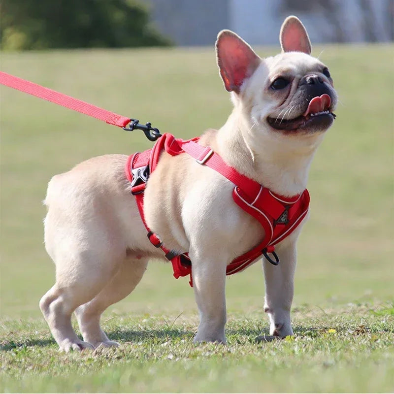 Adjustable No Pull Pet Dog Harness and Leash Set - My Pet Shop