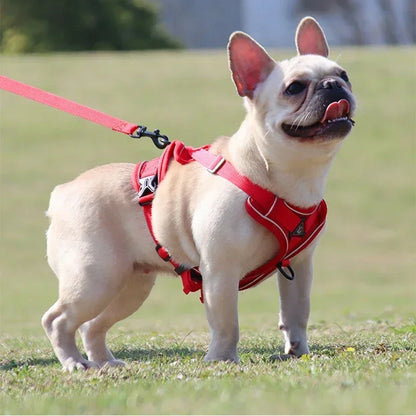 Adjustable No Pull Pet Dog Harness and Leash Set - My Pet Shop