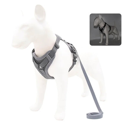Adjustable No Pull Pet Dog Harness and Leash Set - My Pet Shop
