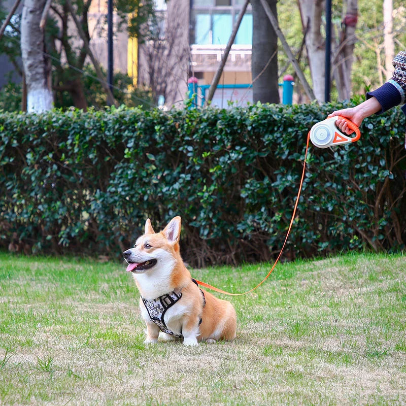 Automatic Retractable Dog Leash with Led - My Pet Shop
