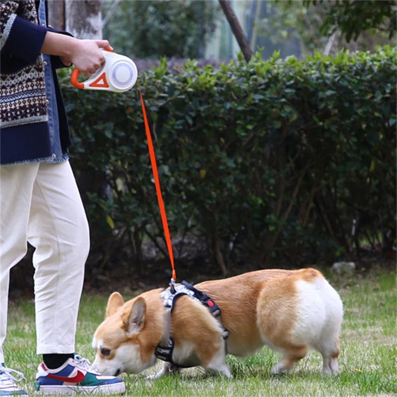 Automatic Retractable Dog Leash with Led - My Pet Shop