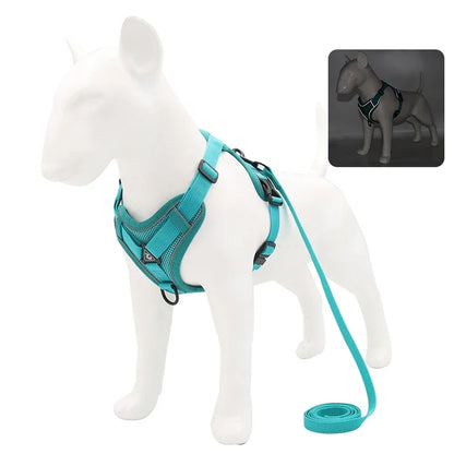 Adjustable No Pull Pet Dog Harness and Leash Set - My Pet Shop