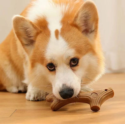 Durable Pine Wood Bite Resistant Pet Chew Toy - My Pet Shop