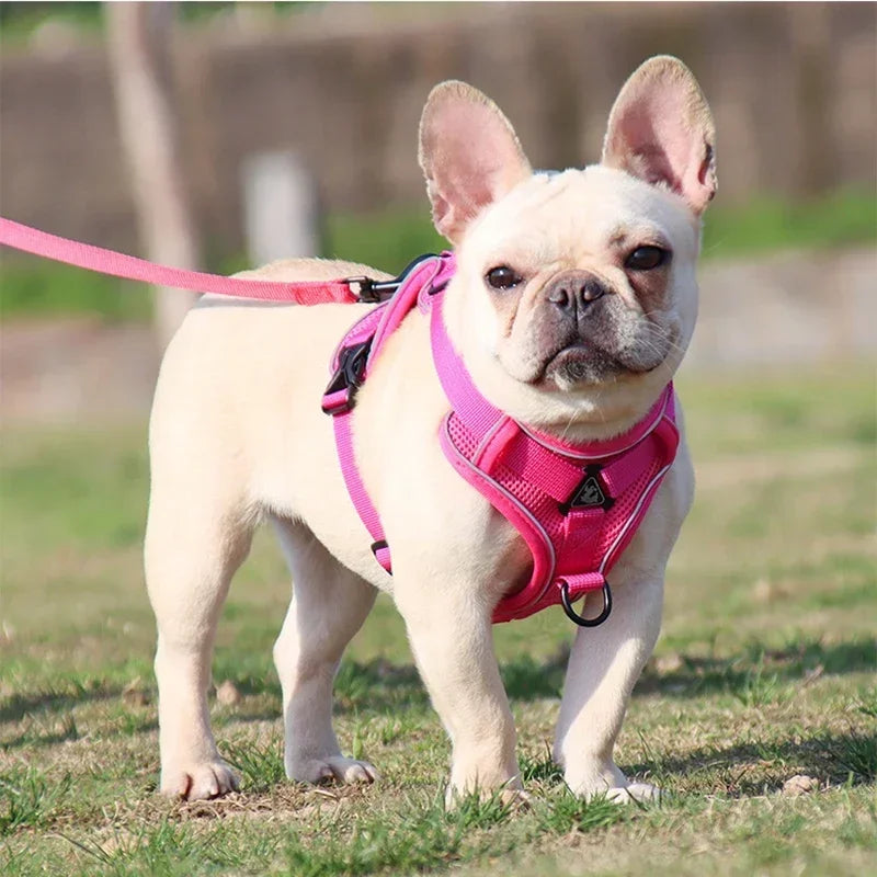 Adjustable No Pull Pet Dog Harness and Leash Set - My Pet Shop