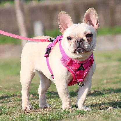 Adjustable No Pull Pet Dog Harness and Leash Set - My Pet Shop