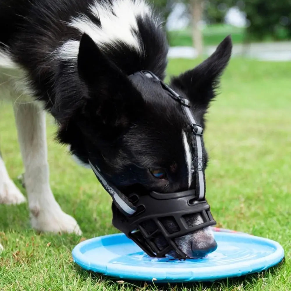 Adjustable Anti-Biting Dog Muzzle Cover With Strip - My Pet Shop