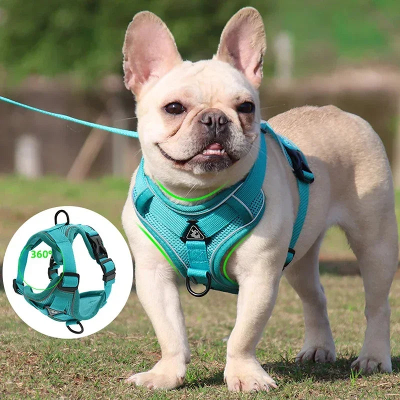 Adjustable No Pull Pet Dog Harness and Leash Set - My Pet Shop